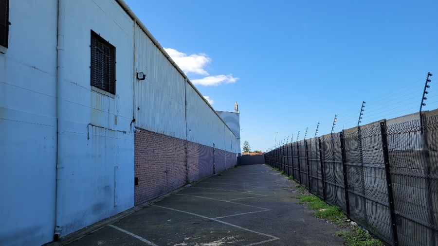 To Let commercial Property for Rent in Epping Industrial Western Cape